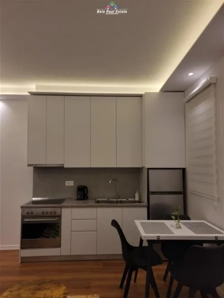 Tirane, jepet me qera Vile 1+1+Ballkon Kati 1, 50 m² 600 € (rruga e durresit)