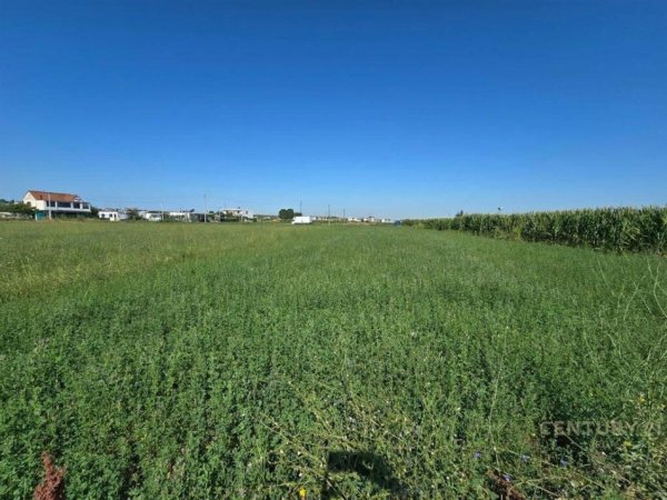 Tirane, shitet toke , 11.943 m² 955.440 € në Maminas, Vorë – Lokacion Perfekt për Investim