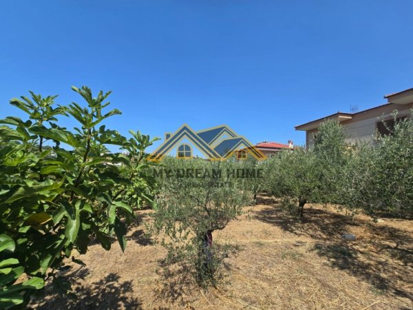 Durres, shitet toke , 1.283 m² 128.300 € (SHKALLNUR)