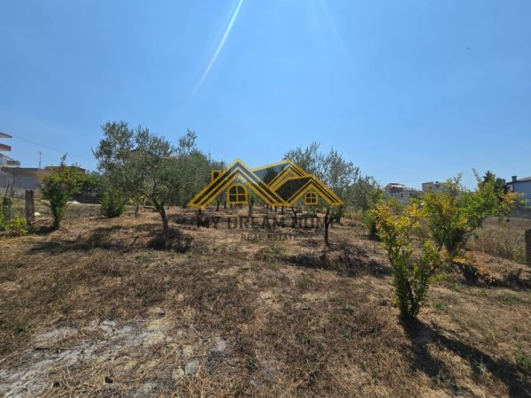 Durres, shitet toke , 1.283 m² 128.300 € (SHKALLNUR)