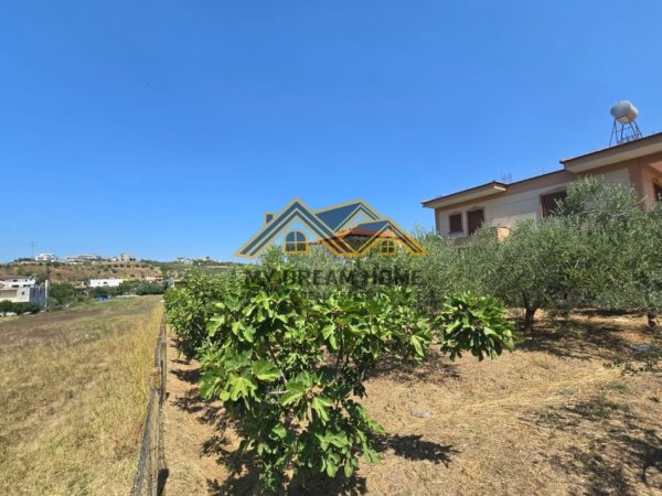 Durres, shitet toke , 1.283 m² 128.300 € (SHKALLNUR)