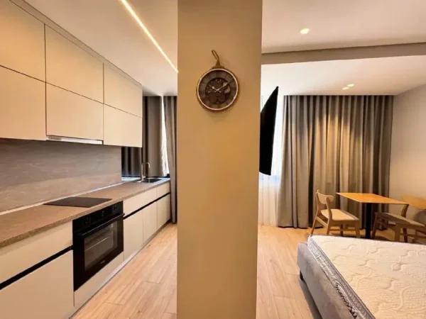 Tirane, jepet me qera garsonier 1+1 Kati 3, 128 m²