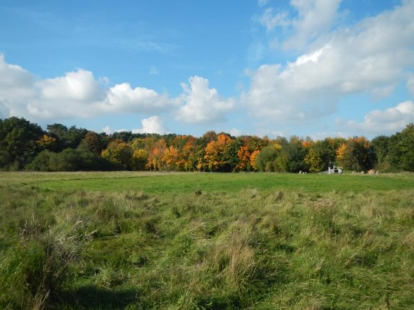 Tirane, shitet , 12.000 m² 955.440 € 