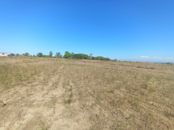 Durres, shes toke , 6.996 m² 161.000 € (Bisht-Kamez Durres)