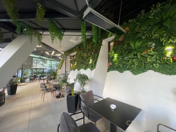 Tirane, jepet me qera bar-kafe Kati 0, 220 m² 1.800 € (kompleksi Magnet)