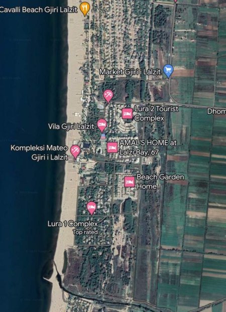 shitet toke , (GJIRI I LALZIT)