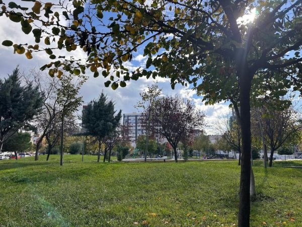 Tirane, jepet me qera apartament 1+1+Ballkon Kati 7, 51 m² 550 € (Ali Demi)