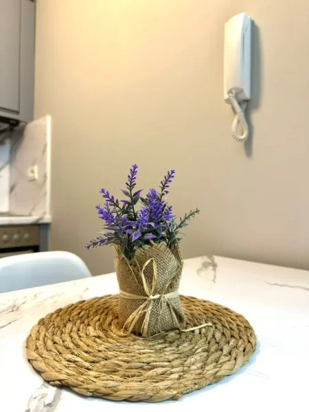 Shqiperi, jepet me qera apartament 1+1 , 40 m² 500 € (prane kompleksit kontakt)