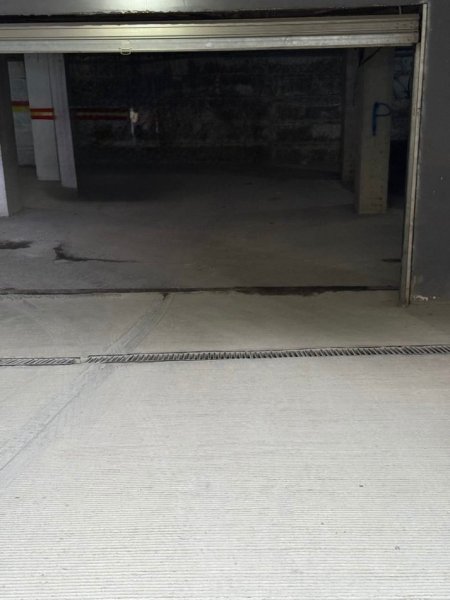 WhatsApp Image 2025-11-04 at 11.59.37 AM.jpeg