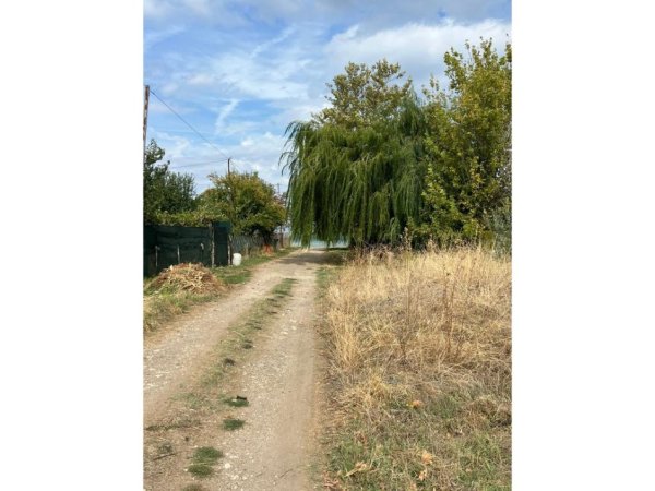 Pogradec, shitet toke , 600 m² 60.000 € (Pogradec)