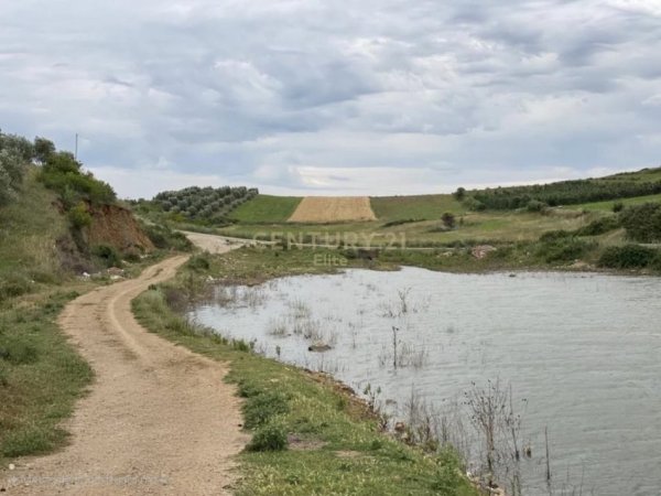 Elbasan, shitet truall , 35.152 m² 55.000 € (Belsh)