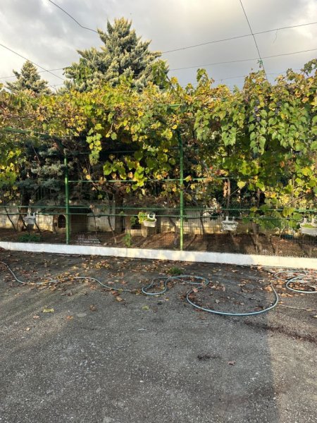 Tirane, shitet ferme+shtepi druri e investuar , 14.500 m² 870.000 € (GURRE E MADHE)
