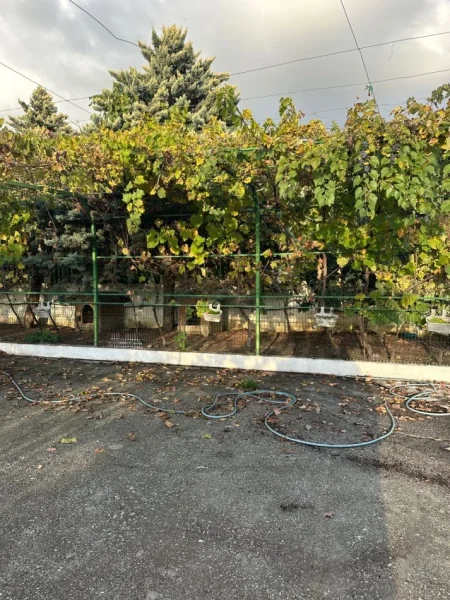 Tirane, shitet ferme+shtepi druri e investuar , 14.500 m² 870.000 € (GURRE E MADHE)