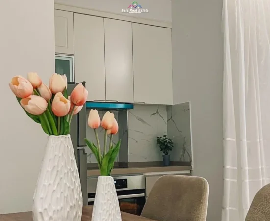 Tirane, jepet me qera apartament 1+1+Ballkon Kati 3, 73 m² 600 € (5 Maji)