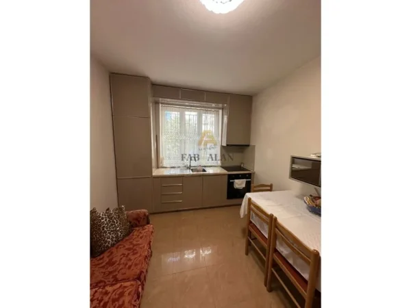 Tirane, jepet me qera apartament 1+1 Kati 1, 70 m² 650 € (Vasil Shanto)