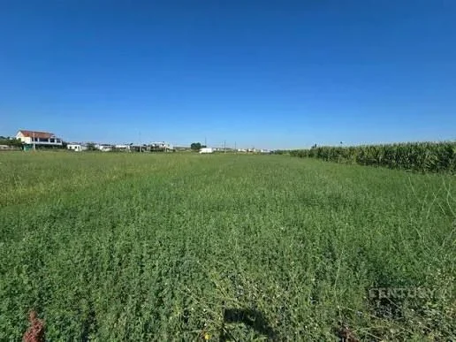 Tirane, shitet toke , 11.943 m² 955.440 € (MAMINAS VORE)