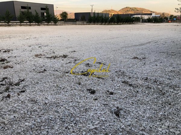 Tirane, jepet me qera toke , 3.000 m² (PRUSH)