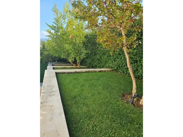 Tirane, shitet Vile , 444 m² 