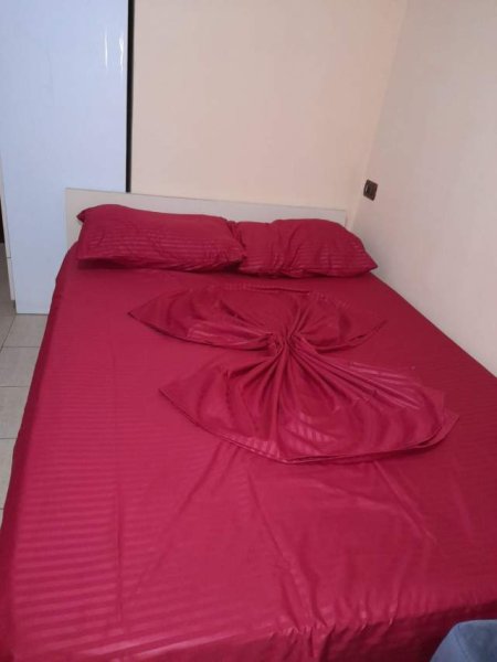 Tirane, jap me qera apartament 1+1 Kati 2, 280 Euro