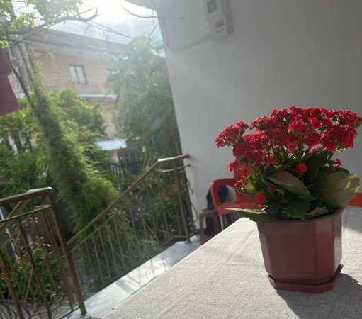 Fier, jepet me qera shtepi 2+1+oborr Kati 1, 700 m² 300 € (Mihallaq Moja)