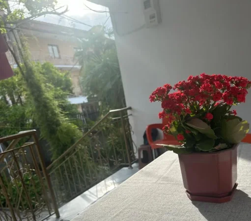 Fier, jepet me qera shtepi 2+1+oborr Kati 1, 700 m² 300 € (Mihallaq Moja)