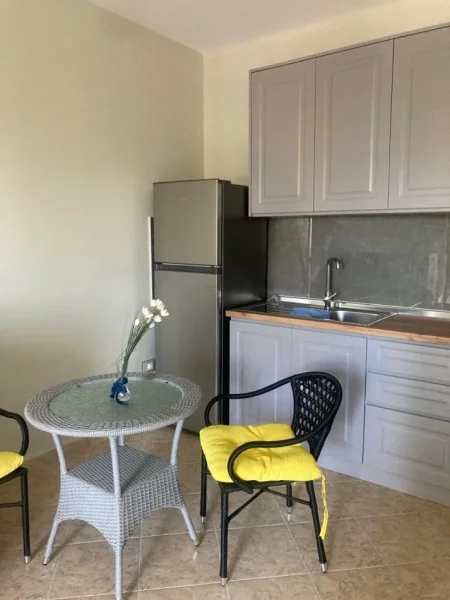 Tirane, jepet me qera garsonier 1+1 Kati 3, 45 m² 400 € (Ministria Jashtme)