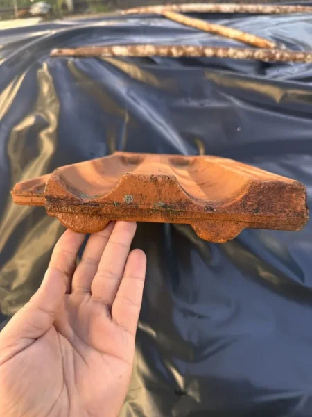 Shkoder, shes TJEGULLA 30 lek