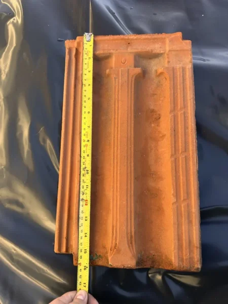 Shkoder, shes TJEGULLA 30 lek