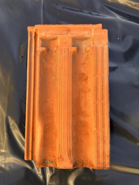 Shkoder, shes TJEGULLA 30 €