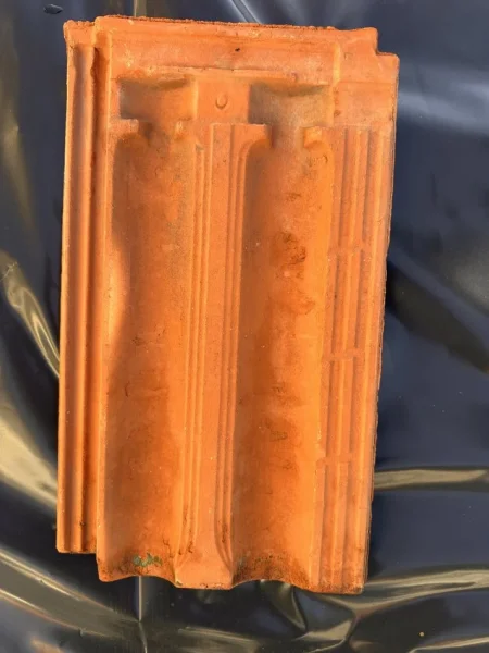 Shkoder, shes TJEGULLA 30 lek