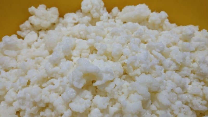 Tirane, ofroj KEFIR BIO ORGANIK