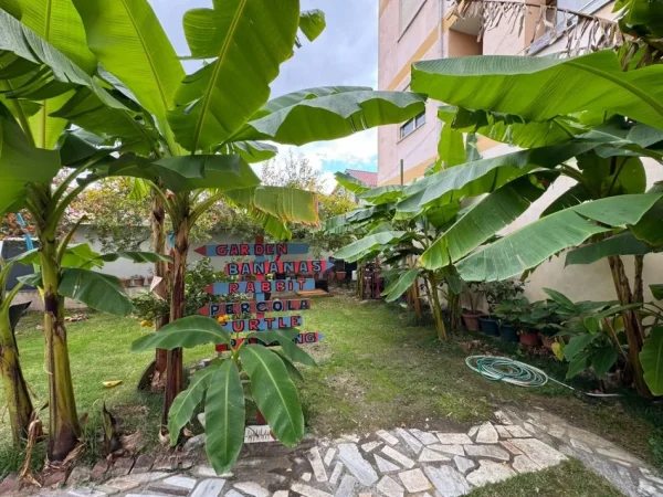 Tirane, shitet shtepi 2+1+Ballkon Kati 0, 296 m² 260.000 € (RRUGA GRAMOZ PASHKO)