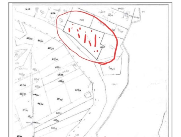 Tirane, shitet toke , 6.500 m² 