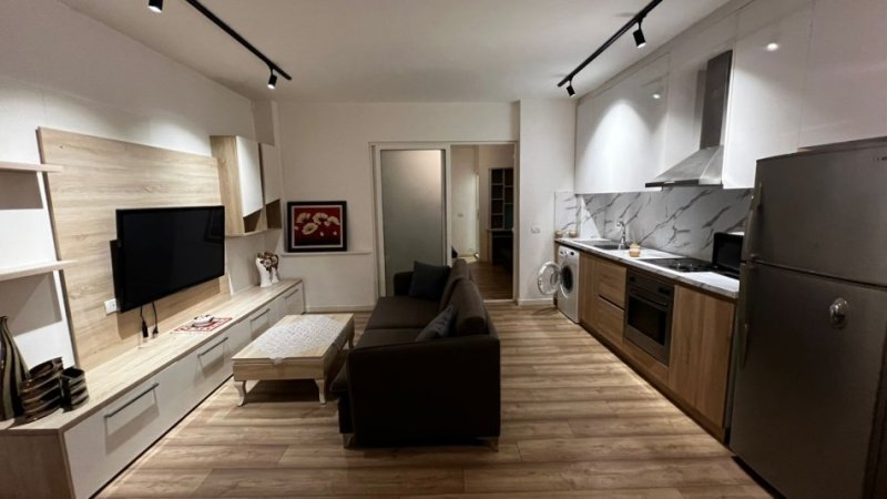 Tirane, jepet me qera apartament 1+1+Ballkon Kati 1, 60 m² 500 € (Rruga e Barrikadave)