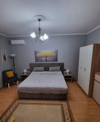 Tirane, jepet me qera apartament 1+1+Ballkon Kati 2, 75 m² 600 € (tek Shkolla e Baletit , prane Lej &amp; Laj.)