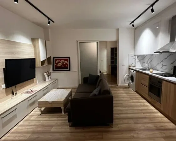 Tirane, jepet me qera apartament 1+1+Aneks Kati 0, 60 m² 470 € (rruga siri kodra)