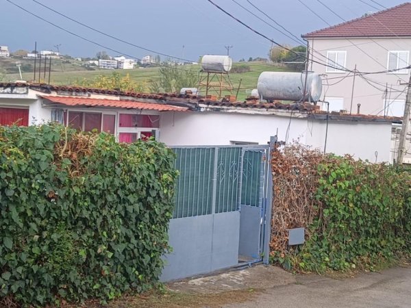 Tirane, shes shtepi 2+1 Kati 1, 372 m² 320.000 € (Ali Demi)