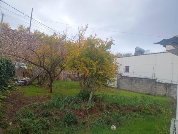 Tirane, shes shtepi 2+1 Kati 1, 372 m² 320.000 € (Ali Demi)