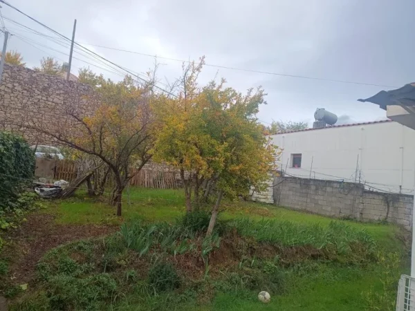 Tirane, shes shtepi 2+1 Kati 1, 372 m² 320.000 € (Ali Demi)