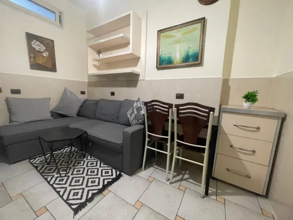 Tirane, jepet me qera apartament 1+1 Kati 2, 47 m² 450 € (5 maj)