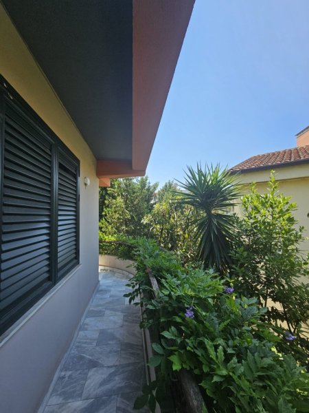 Tirane, shitet Vile 3 Katshe Kati 3, 468 m² 480.000 € 