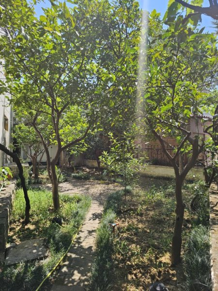 Tirane, shitet Vile 3 Katshe Kati 3, 468 m² 480.000 € 