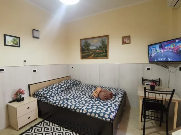 Tirane, jepet me qera apartament 1+1 Kati 2, 45 m² 370 € (stacioni trenit)