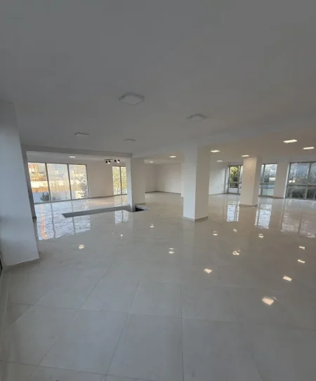 Tirane, jepet me qera ambjent biznesi Kati 0, 260 m² 2.600 € (Bulevardi i Ri)