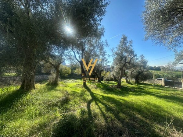 Tirane, shitet toke , 700 m² 150.000 € (BABRRU)