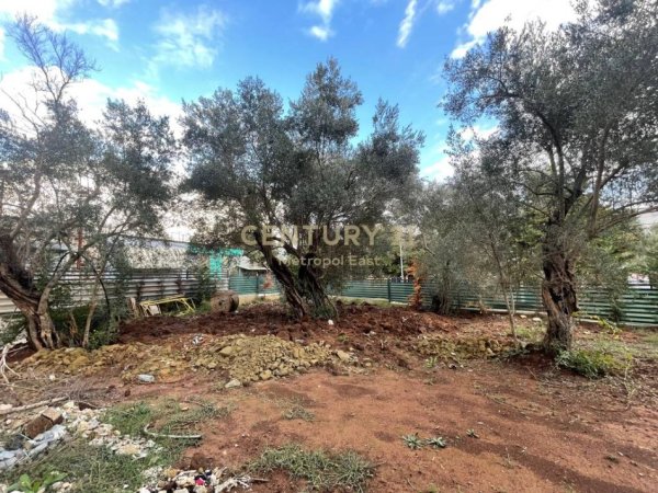 Tirane, shitet Vile 3 Katshe Kati 3, 313 m² 550.000 € (Farke)