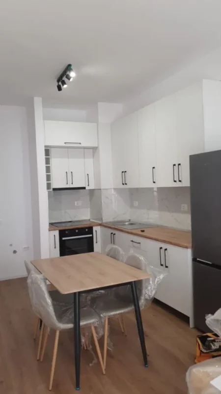 Tirane, jepet me qera apartament 1+1 Kati 2, 450 € 