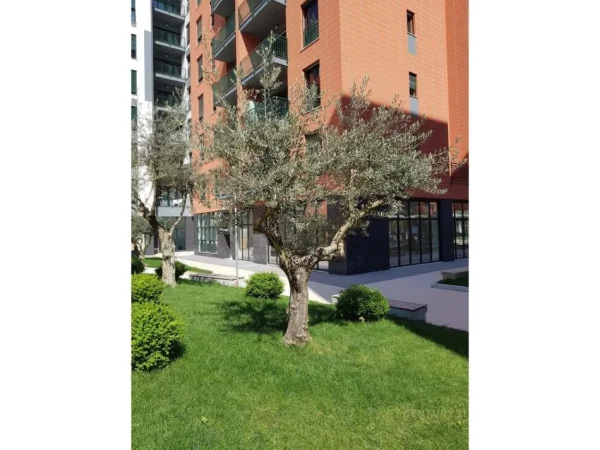 Tirane, shes apartament 2+1+Aneks+Ballkon Kati 3, 107 m² 250.000 € (Green City)