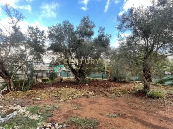 Tirane, shes Vile 3 Katshe Kati 3, 313 m² 550.000 € 