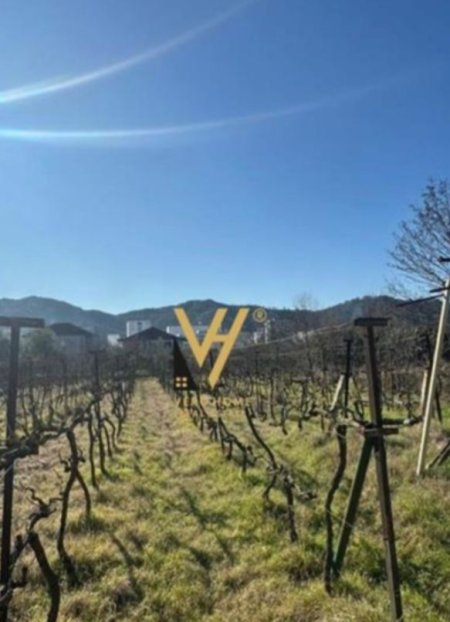 Tirane, shitet toke dhe shtepi private , 4.000 m² 550.000 € (VORE)